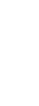 果実酒